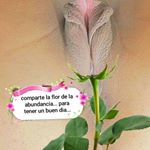 Profile Picture of justino campos machuca (@justinocamposmachu) on Instagram