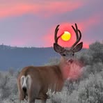 Howard Cooper - Facebook Profile Picture of Howard Cooper (@coop.24707) on Facebook