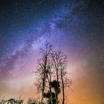 Profile Picture of Brent Vaught (@vautshot) on Instagram