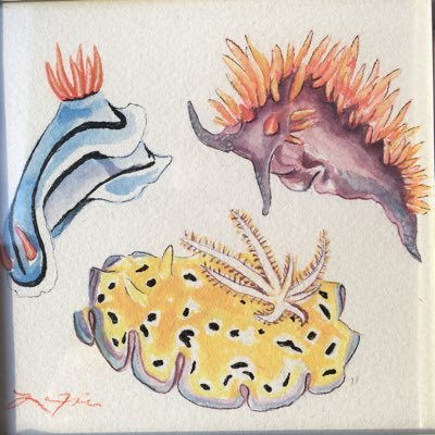 Profile Picture of Matthew Beckman (@ProfMattBeckman) on Twitter