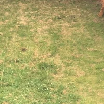 Profile Picture of Andy Dee (@AndyDee86) on Twitter