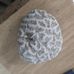 Profile Picture of Steve Rabe (@steve.rabe.587) on Facebook