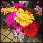 Profile Picture of Kenneth Dietz (@hehelifecurious) on Instagram