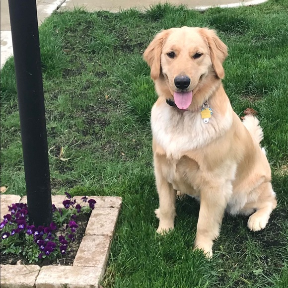 Profile Picture of Mary ann Marshall (@maryamarsh) on Poshmark