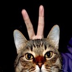 Profile Picture of fernando Candelaria (@fernandocandelaria) on Instagram