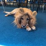 Profile Picture of Amy Bates (@levenghyl) on Instagram