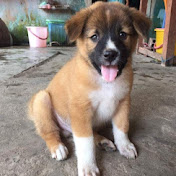 Profile Picture of Xu Bin (@xubin7045) on Youtube