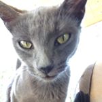 Profile Picture of cierrakirby (@cierrakirby) on Instagram