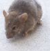 Profile Picture of Stephen Whitmer (@stephen.whitmer.90) on Facebook