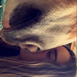 Profile Picture of Möhre&Casey (@einpferdauf4beinen) on Instagram