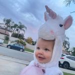 Profile Picture of Anne Latona Dobbs (@dobbs4jc) on Instagram