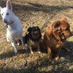 Profile Picture of Tracey Carey (@traceyklinecarey) on Instagram