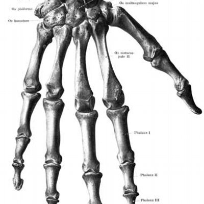 Profile Picture of William Connelley (@leva767) on Twitter