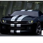 Jeffrey lorenger - Instagram Profile Picture of Jeffrey lorenger (@jefflorenger) on Instagram