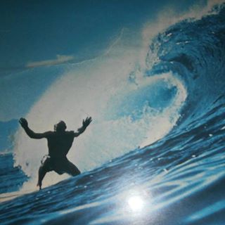 Profile Picture of Gregory Vajda (@gregory.vajda.9) on Facebook