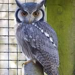 Profile Picture of Randy Hignite (@randy.hignite) on Facebook