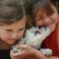 Profile Picture of Heather Dunham (@hgillenwater) on Pinterest