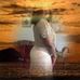 Profile Picture of Joyce Kidd (@joyce.kidd.526) on Facebook