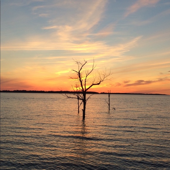 Profile Picture of Nathan Martenson (@nathan393) on Poshmark