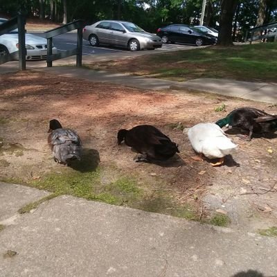 Profile Picture of David Wentz (@dwentz3) on Twitter