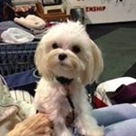 Profile Picture of Lori Marklein (@lorimarklein) on Instagram