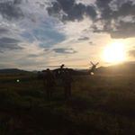 Profile Picture of stevenjeffbull (@stevenmarshjeff) on Instagram