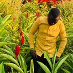 Profile Picture of furahabrian@gmail.com (@furahabriangmail) on Instagram