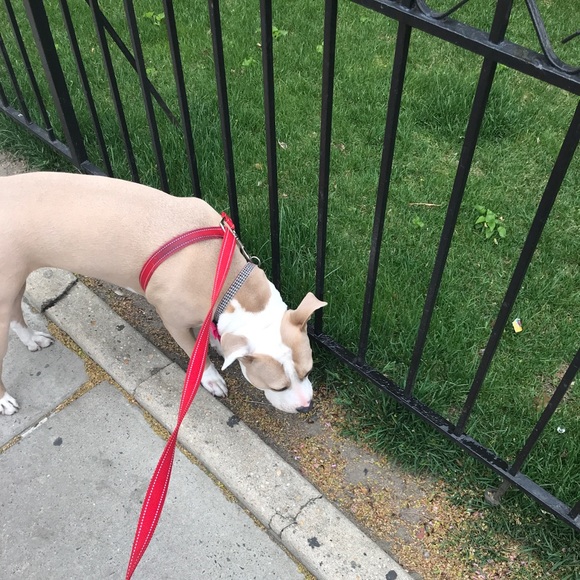 Profile Picture of J Curtis (@jcurtis85) on Poshmark