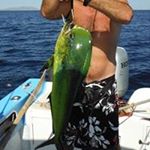 Profile Picture of David Jantzen (@davidjantzen) on Instagram