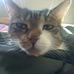 Profile Picture of Richard Huckert (@richard.huckert) on Facebook