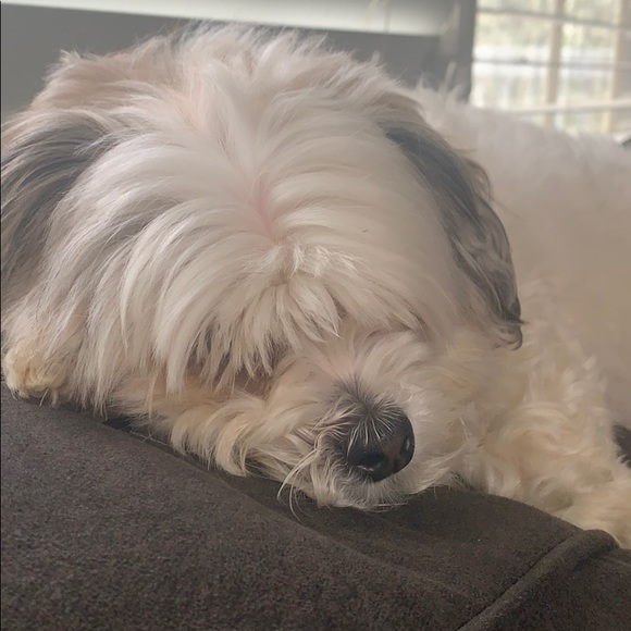 Profile Picture of Olivia Claypoole (@oliviaclay88) on Poshmark