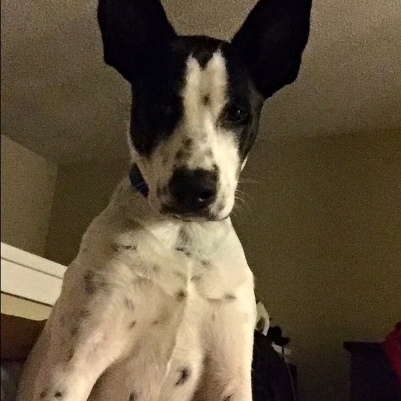 Profile Picture of Cayla Gartman (@caylagartman) on Poshmark