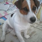 Profile Picture of Jacqueline Pautrat (@Jacqueline-Pautrat) on Facebook