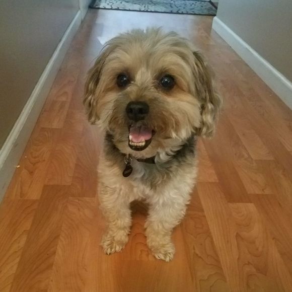 Profile Picture of Kelly James (@honeyadj1) on Poshmark