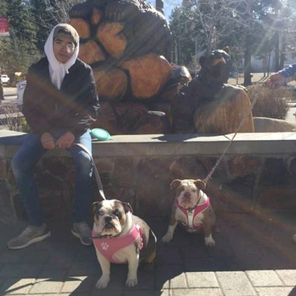 Profile Picture of Julian Alvarado (@dachino_julian) on Poshmark