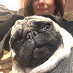 Profile Picture of Franklin Brady & Stella Lico (@frankandstella89) on Instagram