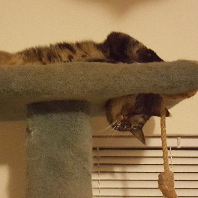 Profile Picture of Andrew Andes (@andes_andrew) on Twitter