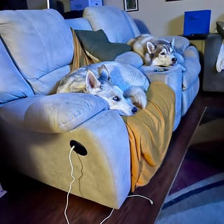 Profile Picture of Edward Franko (@edwardfranko) on Instagram