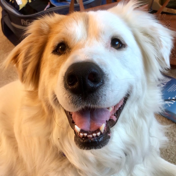 Profile Picture of Tess Cliffe (@tesscliffe) on Poshmark