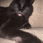 Profile Picture of RobinDowney (@robindowney72) on Instagram