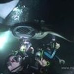 Profile Picture of Amanda Ullrich (@amanda.b.ullrich) on Instagram