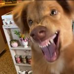 Profile Picture of Vianca Martinez (@viankitiselfie) on Instagram