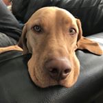 Bobbie Adams - Instagram Profile Picture of Bobbie Adams (@bobbieadams111) on Instagram