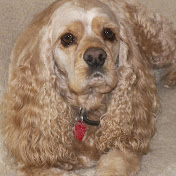 Profile Picture of Charlie Cleanthous (@charliecleanthous2228) on Youtube