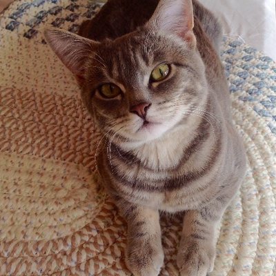 Linda Engle - Twitter Profile Picture of Linda Engle (@linda2day) on Twitter