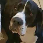 Profile Picture of nicholas 06 (@ernestatests) on Instagram