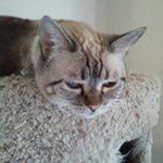 Profile Picture of Tami Armijo (@armijo_tami_) on Instagram