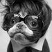 Profile Picture of Kyle Ochs (@kylexd001) on Pinterest