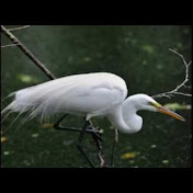 Profile Picture of Robert Muth (@mbe1300n) on Youtube