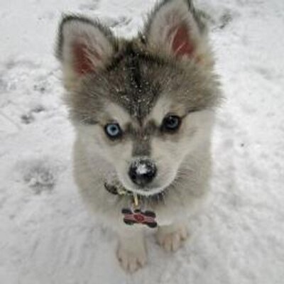 Profile Picture of Joanna Heath (@nanababy121) on Twitter